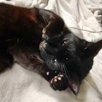 Thumbnail photo of Simon  #3