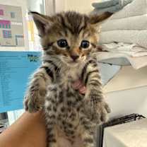 Thumbnail photo of Trudy Departed #3