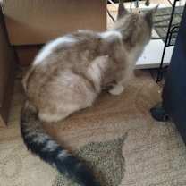 Thumbnail photo of Unknown #2