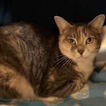 Thumbnail photo of Kevin #1