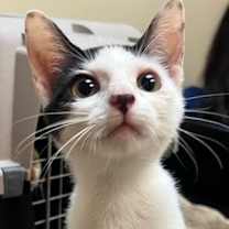 Thumbnail photo of Bennett #1