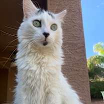 Thumbnail photo of Princess #2