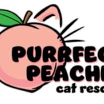 Thumbnail photo of Dickory #2