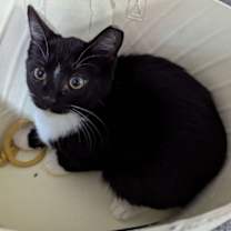 Thumbnail photo of Spoopy #2