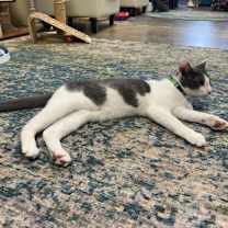 Thumbnail photo of Fish #3