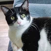 Thumbnail photo of Romy #1