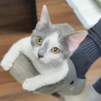 Thumbnail photo of Tilly #1