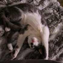 Thumbnail photo of Tilly #2