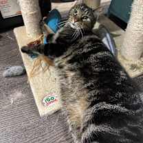 Thumbnail photo of Sully Patton #2