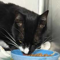 Thumbnail photo of Tessie #2