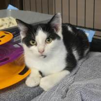 Thumbnail photo of Freddy #1