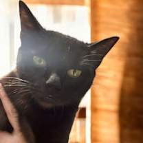 Thumbnail photo of Etta #1