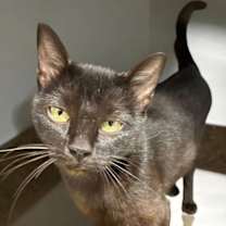 Thumbnail photo of Etta #2