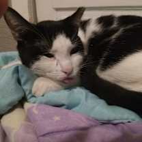 Thumbnail photo of Pinky #4