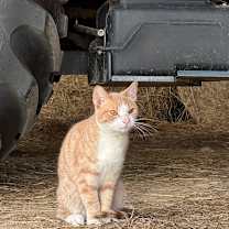 Thumbnail photo of Phil #1