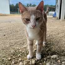 Thumbnail photo of Phil #2