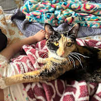 Thumbnail photo of Summer #1