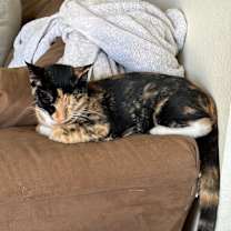 Thumbnail photo of Summer #2