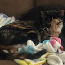 Thumbnail photo of Summer #3