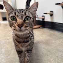 Thumbnail photo of Matilda  #1