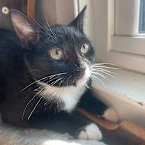 Thumbnail photo of Marley #2