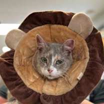 Thumbnail photo of Lucie #2