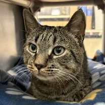 Thumbnail photo of Tiny #2