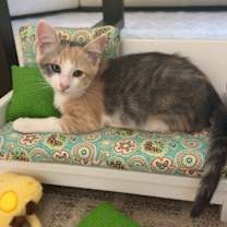 Thumbnail photo of Karen 4888 #2