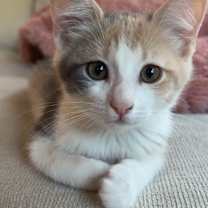 Thumbnail photo of Karen 4888 #3