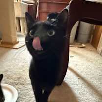 Thumbnail photo of Ms. Onyx #2