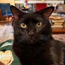 Thumbnail photo of Jasper #1