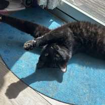 Thumbnail photo of Jasper #2