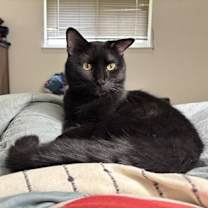 Thumbnail photo of Jasper #3