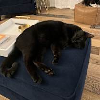 Thumbnail photo of Franklin #4