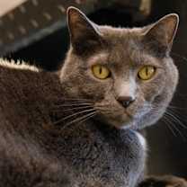 Thumbnail photo of Mark #1