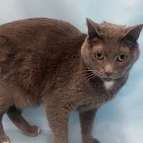 Thumbnail photo of Mark #2