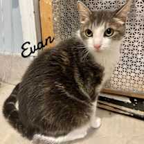 Thumbnail photo of Evan #2