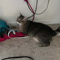 Thumbnail photo of Fortune #1