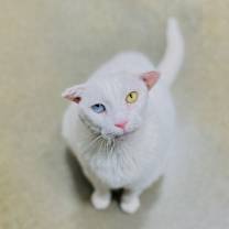 Thumbnail photo of Luna 2025 #1