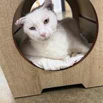 Thumbnail photo of Luna 2025 #2