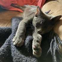 Thumbnail photo of Patrick #4