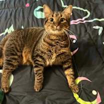 Thumbnail photo of Tessa #2