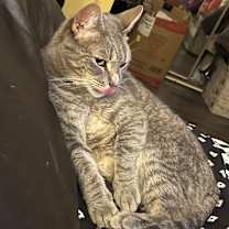 Thumbnail photo of Chloe #4