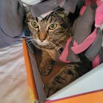 Thumbnail photo of Leni #2