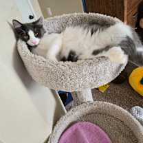 Thumbnail photo of Glow #1