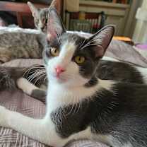 Thumbnail photo of Neon #1