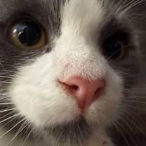 Thumbnail photo of Glow #2