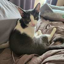 Thumbnail photo of Neon #2