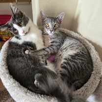 Thumbnail photo of Glow #3