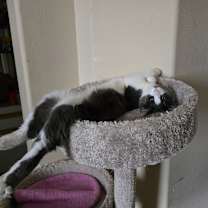 Thumbnail photo of Glow #4